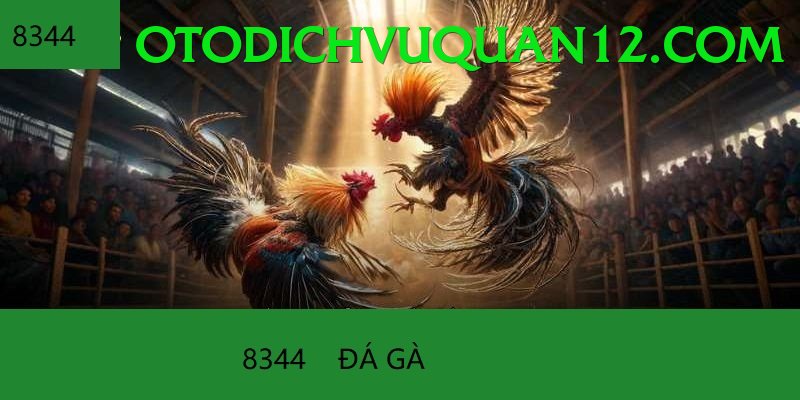 Đá Gà Trực Tiếp - luck8