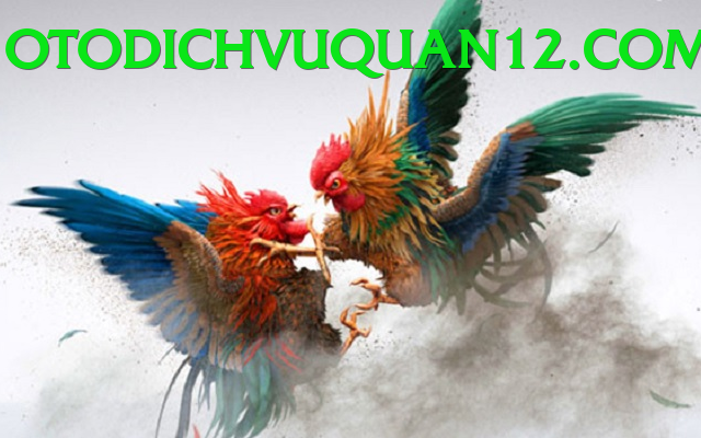 Trường Đấu Đá Gà Chuyên Nghiệp