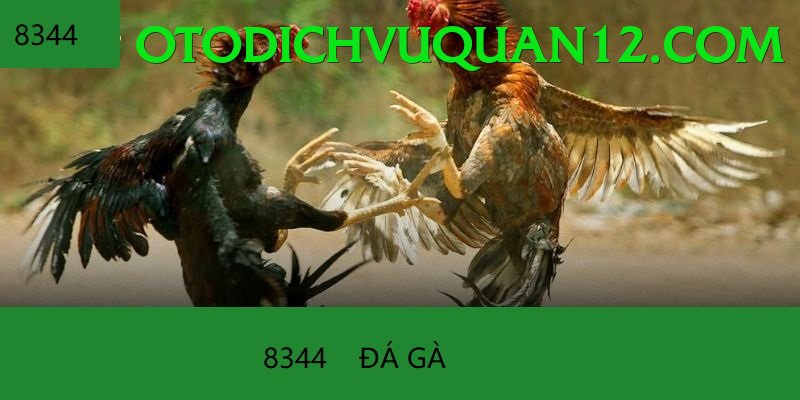 Cách Đọc Kèo Đá Gà